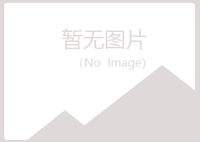 河池漂流造纸有限公司